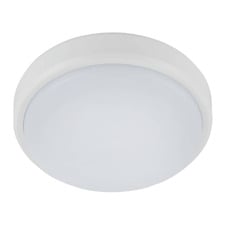 Bruleigh LED Outdoor Oyster Light