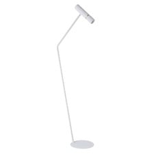Caminia Steel Floor Lamp