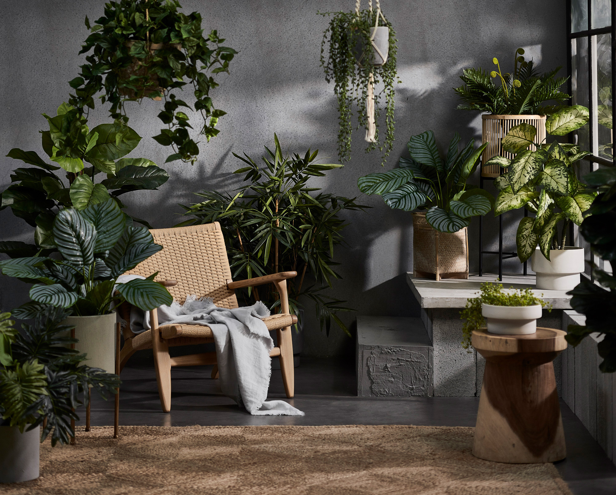 Sun-Kissed Corner photo by Temple &amp; Webster