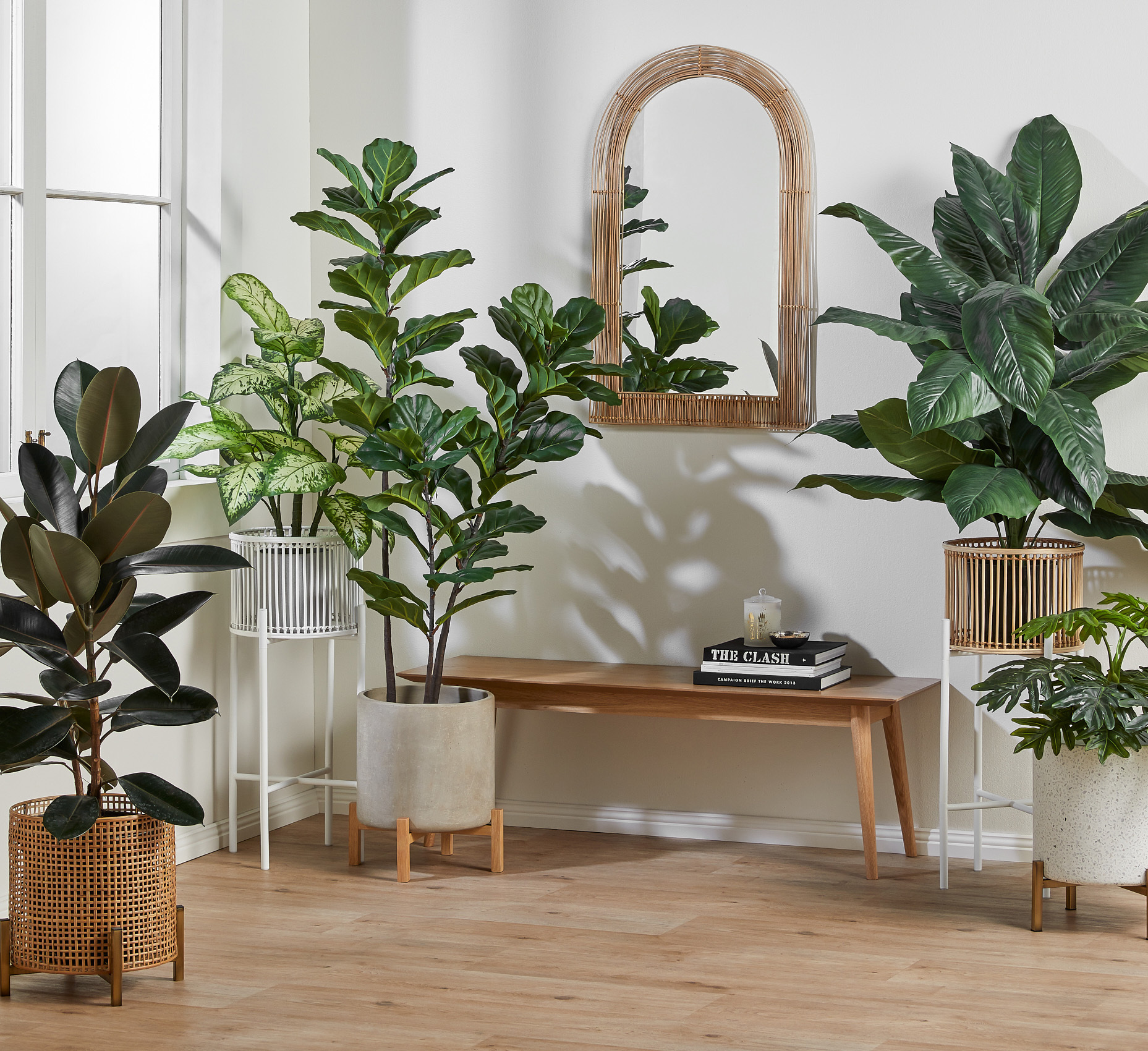 Coastal Hallway room ideas. Indoor planter displays. By Temple & Webster