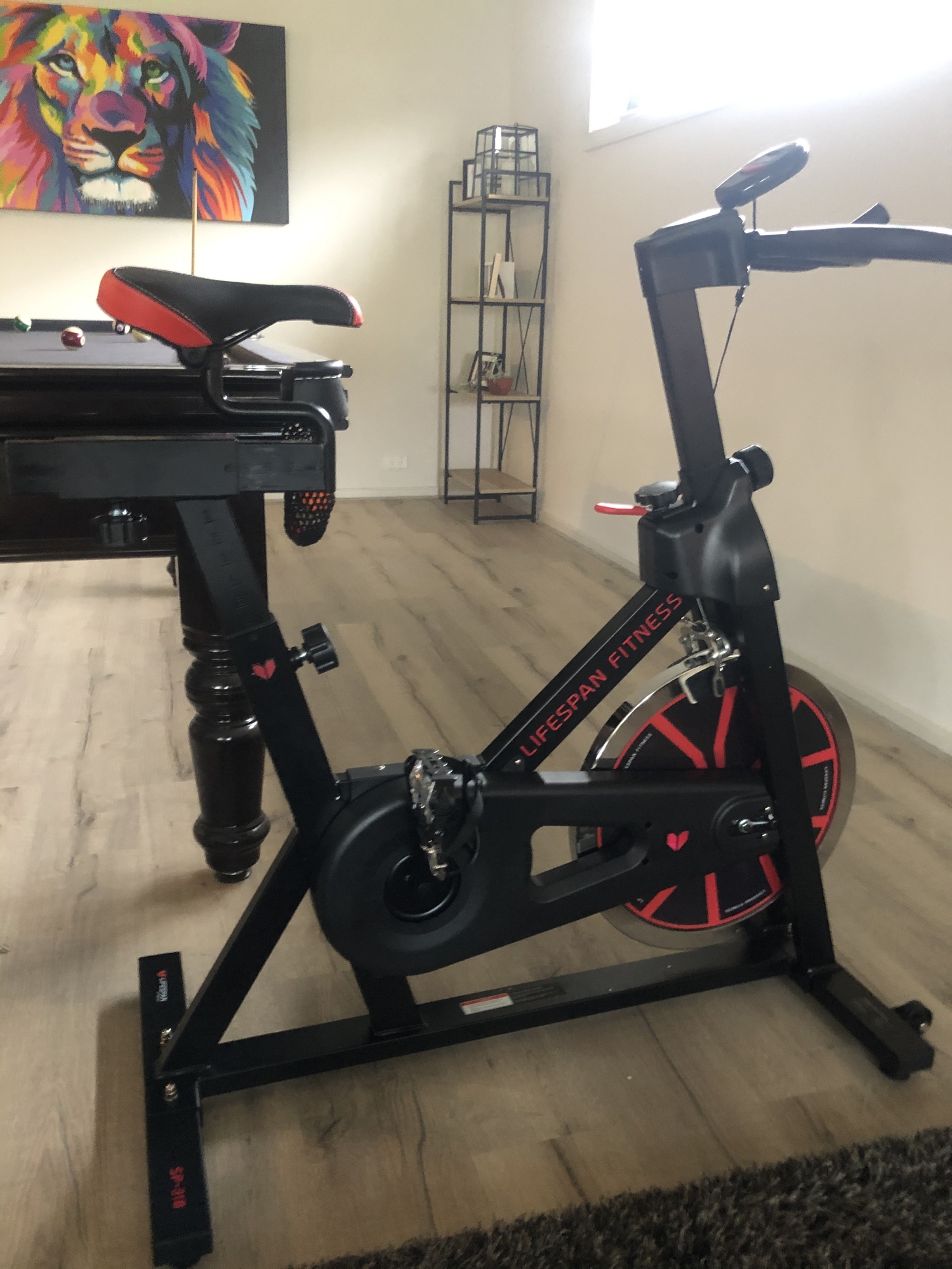 sp 310 spin bike