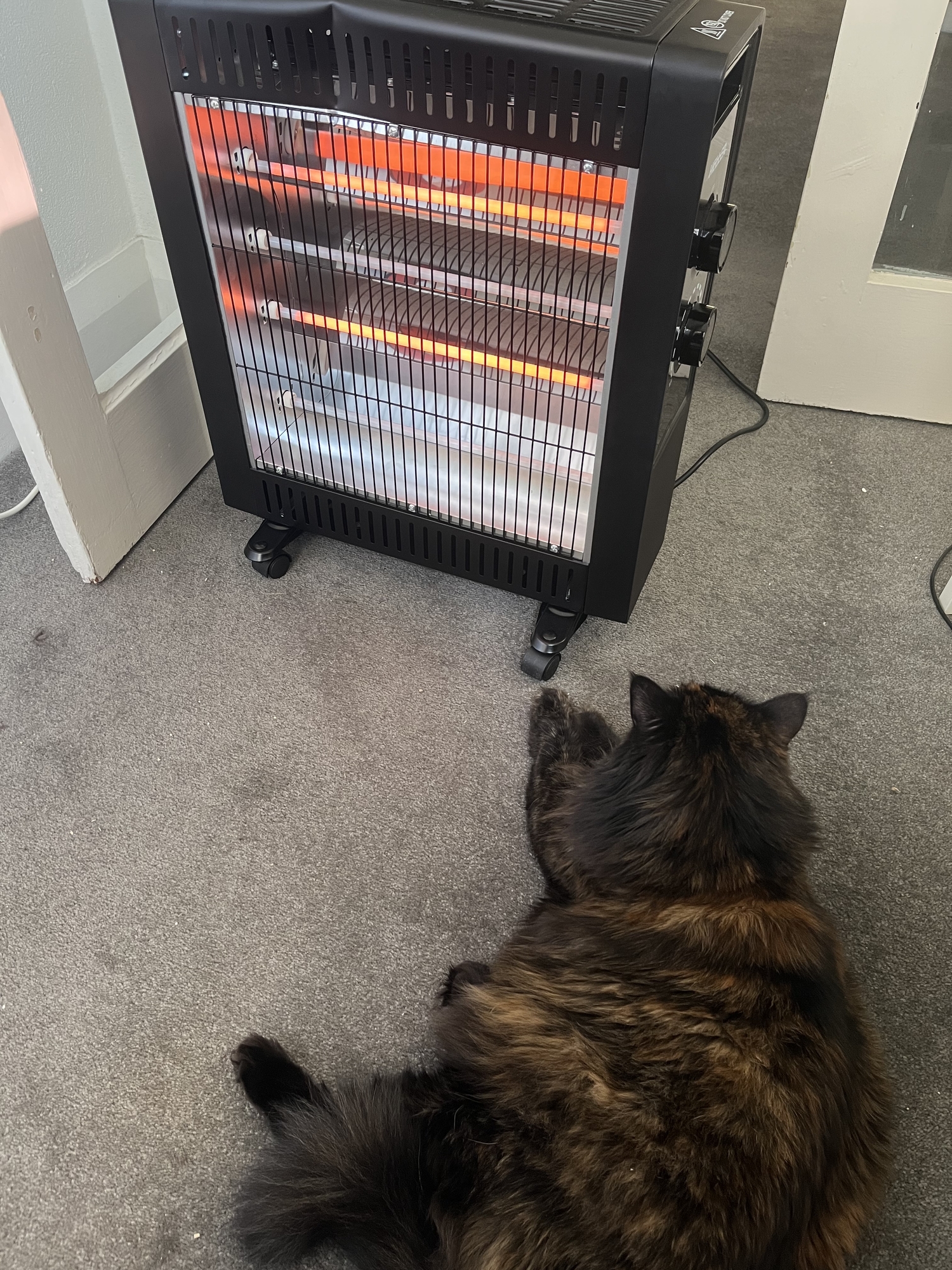 Heller 2200W Heller Quartz Radiant Heater | The Build by Temple u0026 Webster