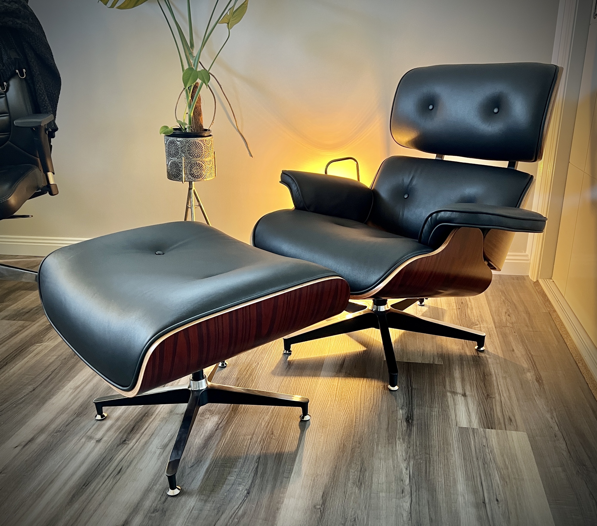 eames chair temple and webster