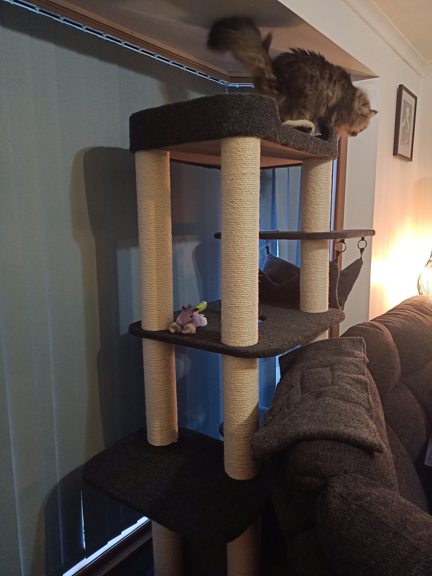 midnight molly cat scratcher