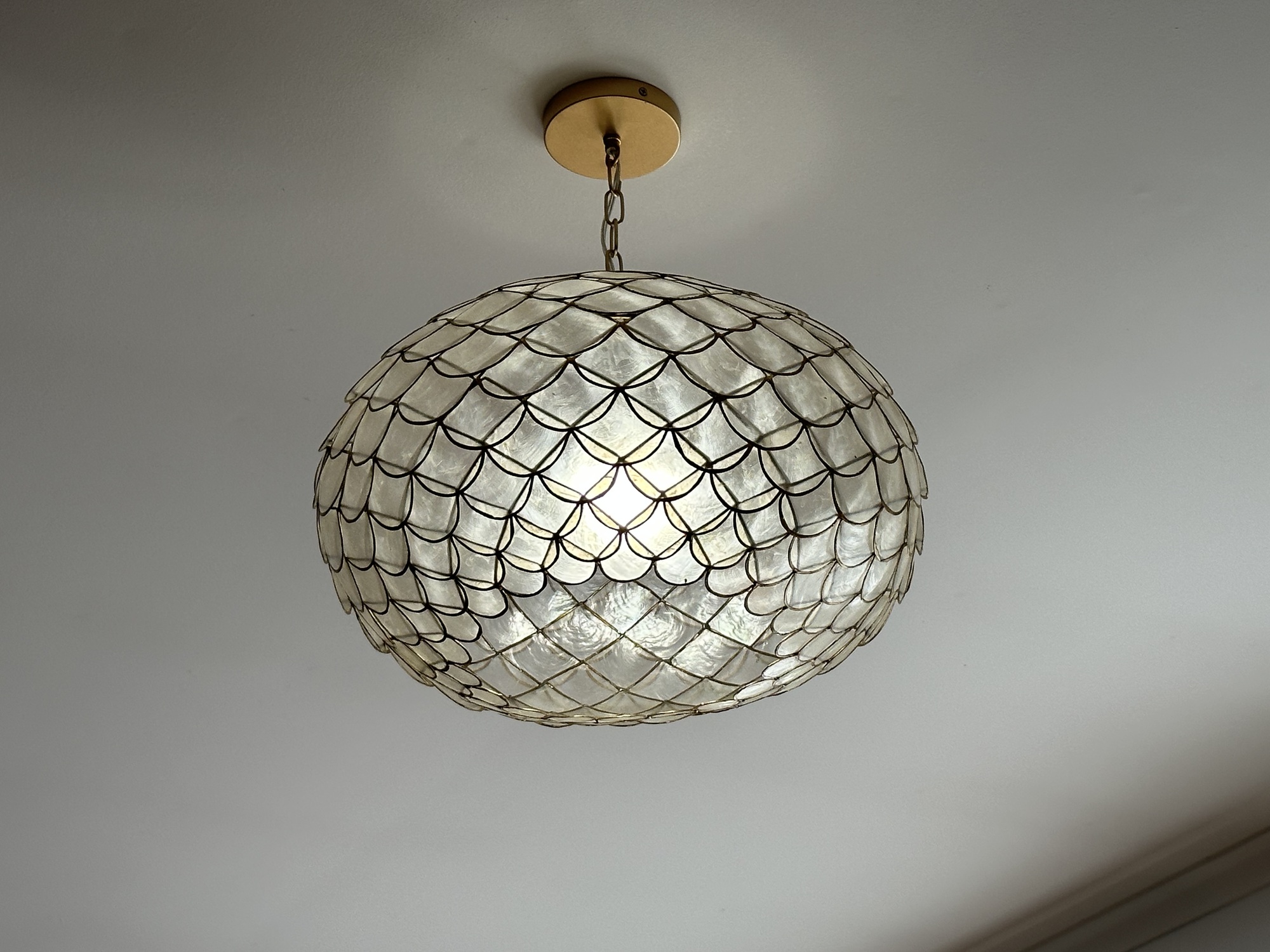 Capiz-Shell 1-Light Pendant, Lighting Pendant Lighting B2666