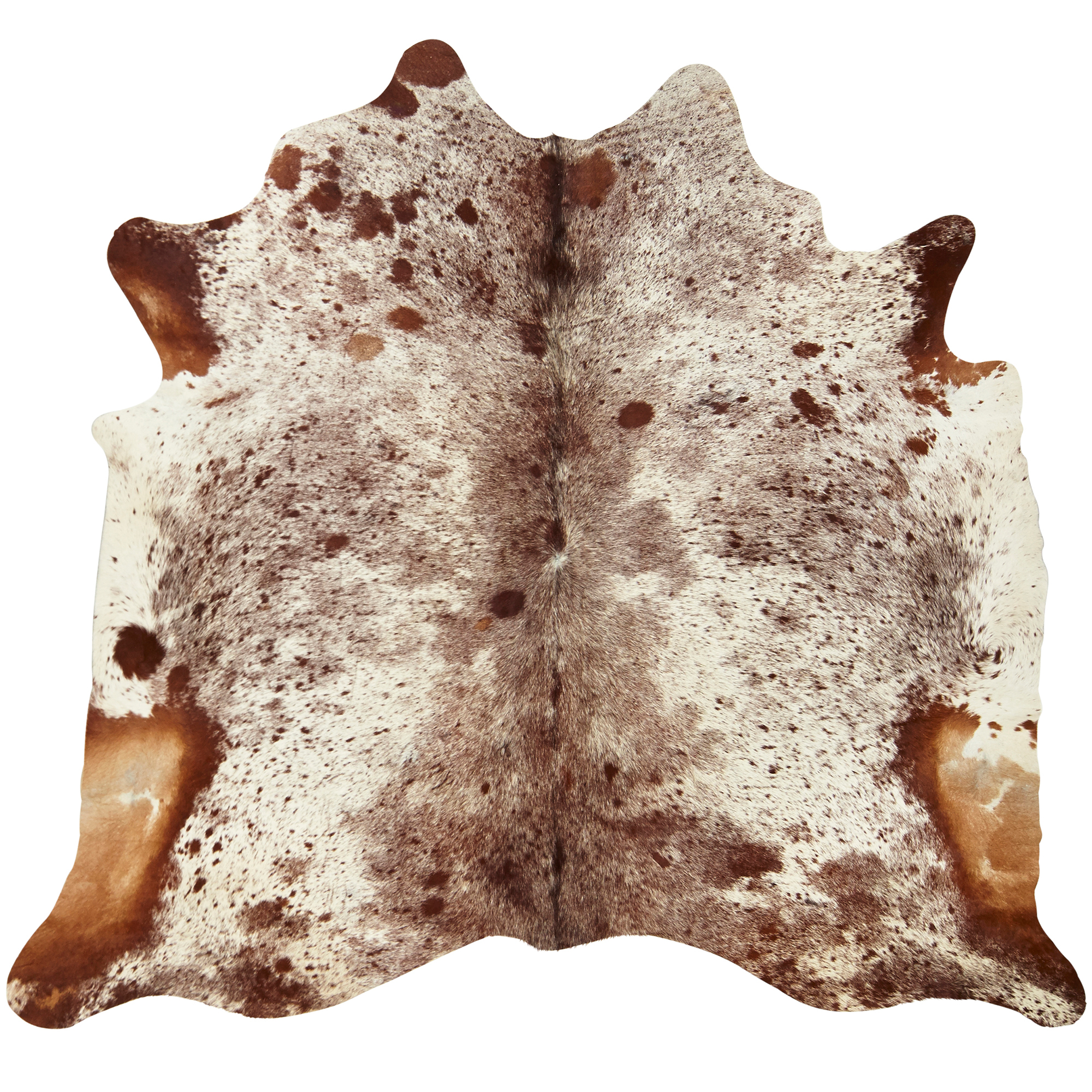 Nswleather Spotted Brown Longhorn Cow Hide Rug Reviews Temple