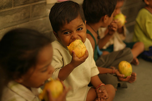 Bholu - The Anganwadi Project