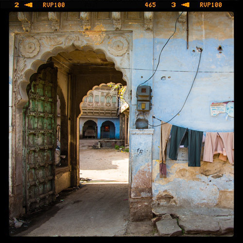 Photographer Maya Vidulich's portrait of India | Temple & Webster