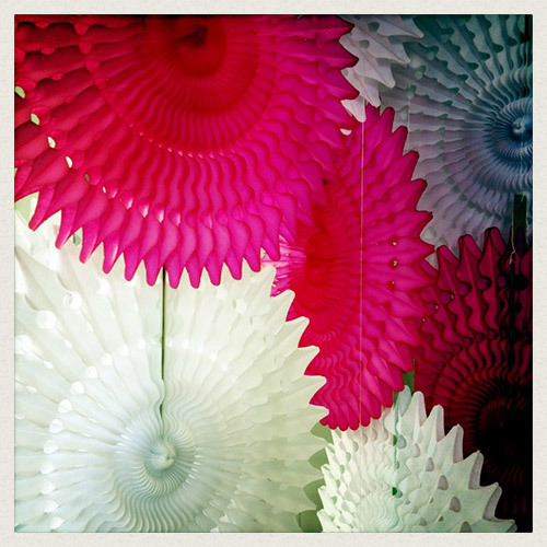 LeeAnn Yare - My week in pictures
