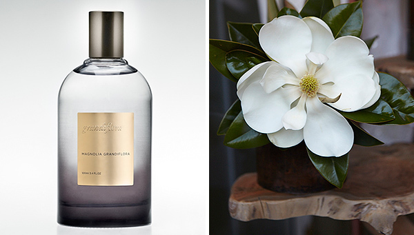 Saskia Havekes - Grandiflora - My week in pictures