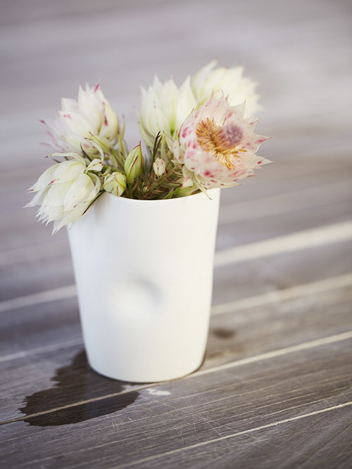 Deb Taylor - Little White Dish - Artisan Magazine