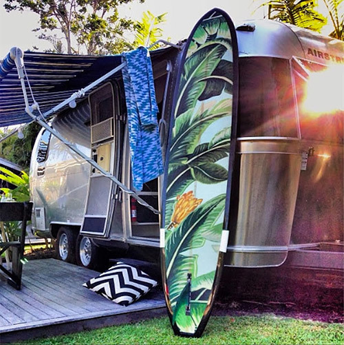 Jungle Surfboard - Sibella Court & Bethany Linz for McTavish