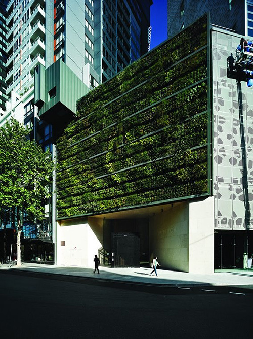Inspiring vertical garden gallery 2