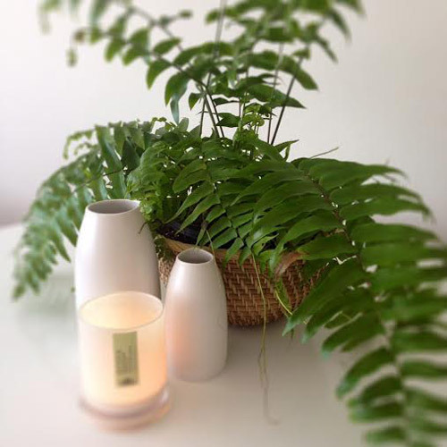 Collect Create Decorate