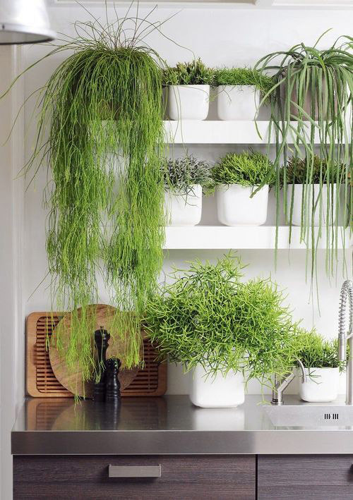 The well-styled shelf