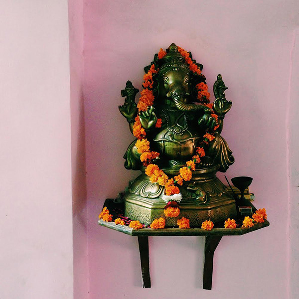 Megan Morton's India