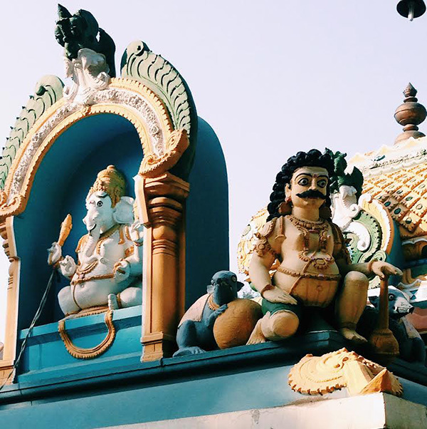 Megan Morton's India