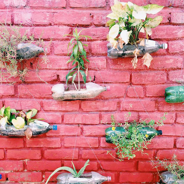 Megan Morton's India