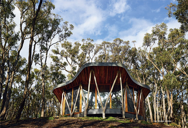 Superhouse by Karen McCartney. Image - Richard Powers