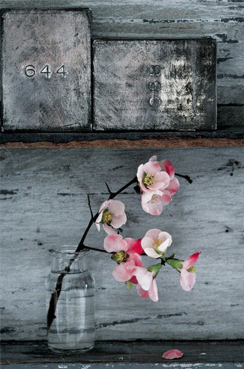 Shades of grey via @templeandwebster