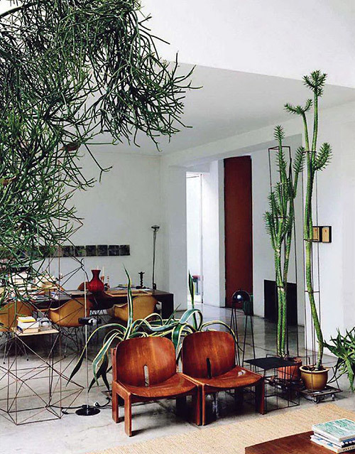 Greening your interior via Temple & Webster