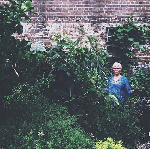 Ashley Woodson Bailey - My week in pictures - via Temple & Webster