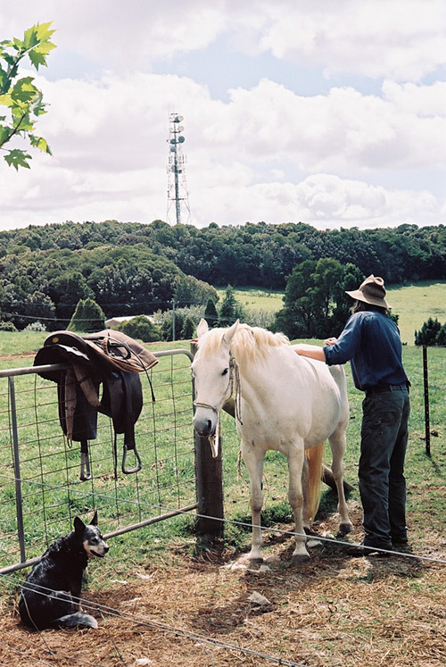 Harriet Goodall - My week in pictures - Temple & Webster Journal