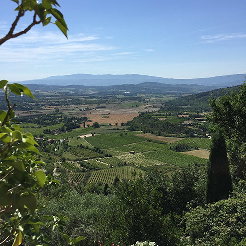 A day in L'Isle sur la Sorgue, Provence - Temple & Webster Journal