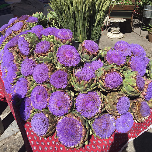 A day in L'Isle sur la Sorgue, Provence - Temple & Webster Journal