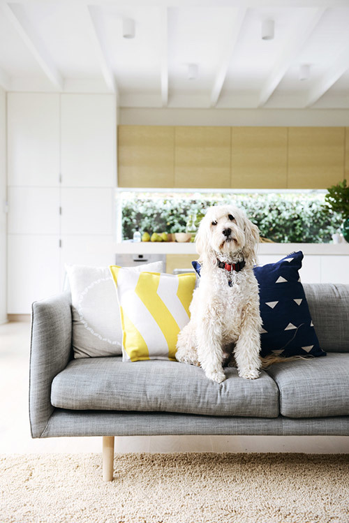 Tour the home of Belinda Everingham of Bondi Wash - Temple & Webster Journal. Image - Lauren Bamford