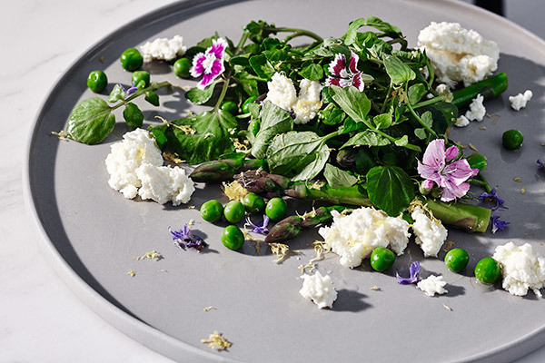 A simple Spring salad - Temple & Webster Journal