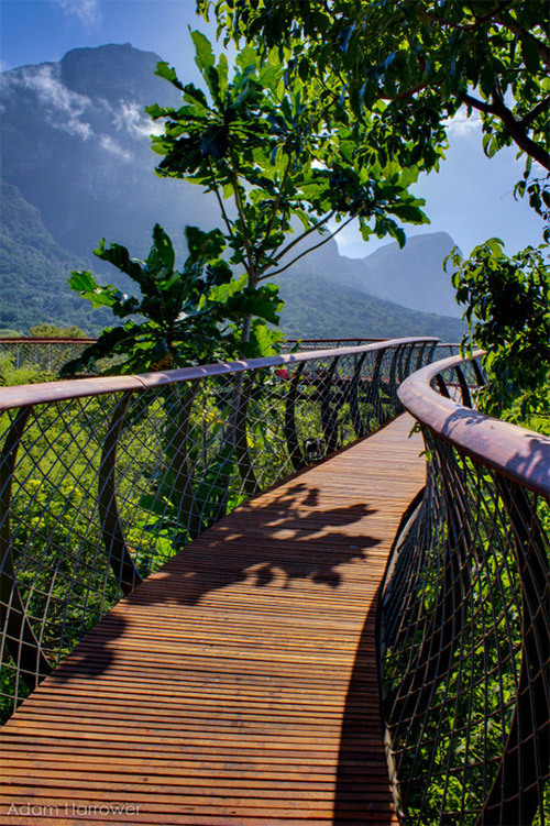 Exploring Capetown - Temple & Webster Journal
