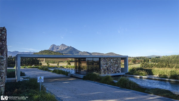 Exploring Capetown - Temple & Webster Journal