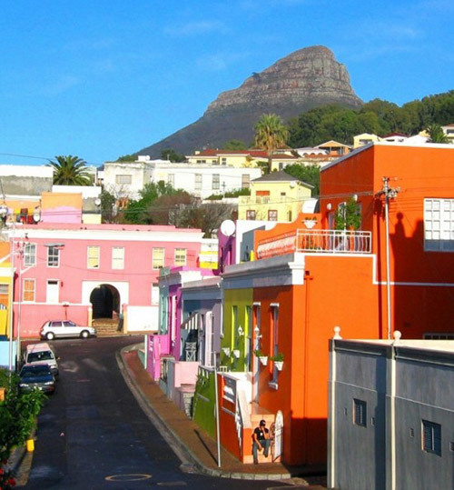 Exploring Capetown - Temple & Webster Journal