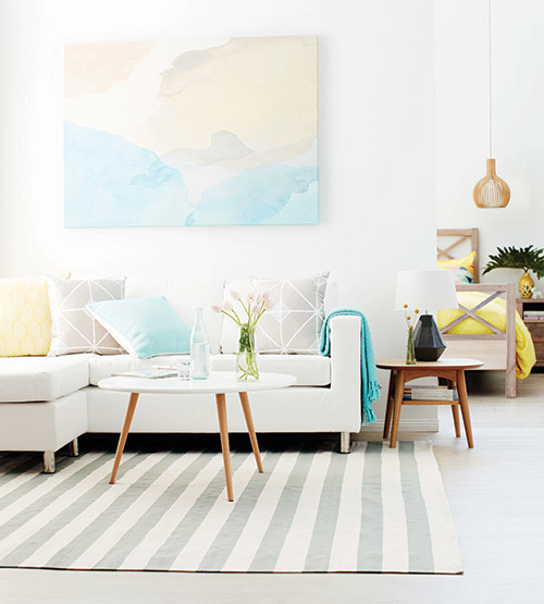 Introducing Zizo - Temple & Webster Journal