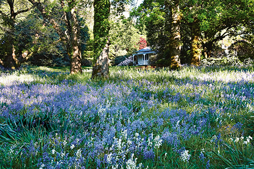 Country Style Gardens