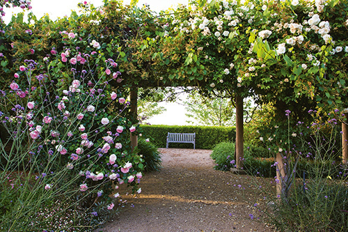 Country Style Gardens