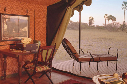 Safari Travel Series