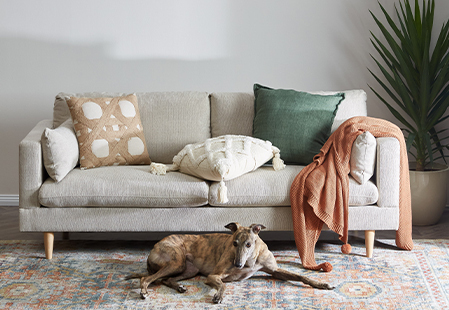 What should I look for when buying a sofa