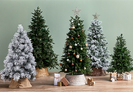 How to choose a Christmas tree