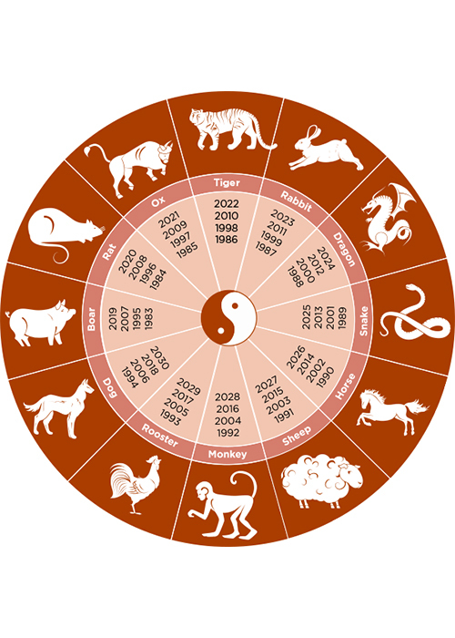 How to decorate for your Chinese Zodiac animal | Temple & Webster