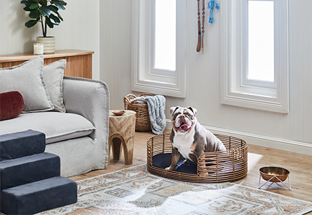 5 steps to creating the ultimate pet living room