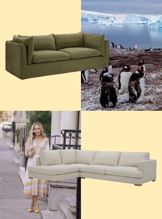 Furniture & Homewares Online at Beautiful Prices Temple & ster