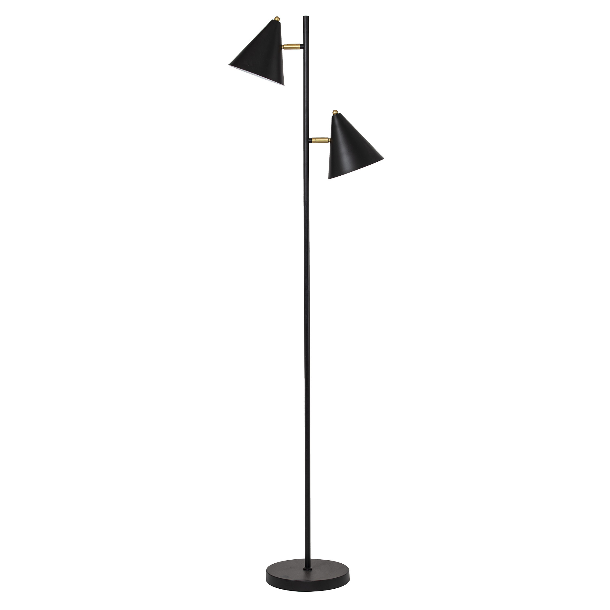🎥 My filming backdrop Floor Lamp