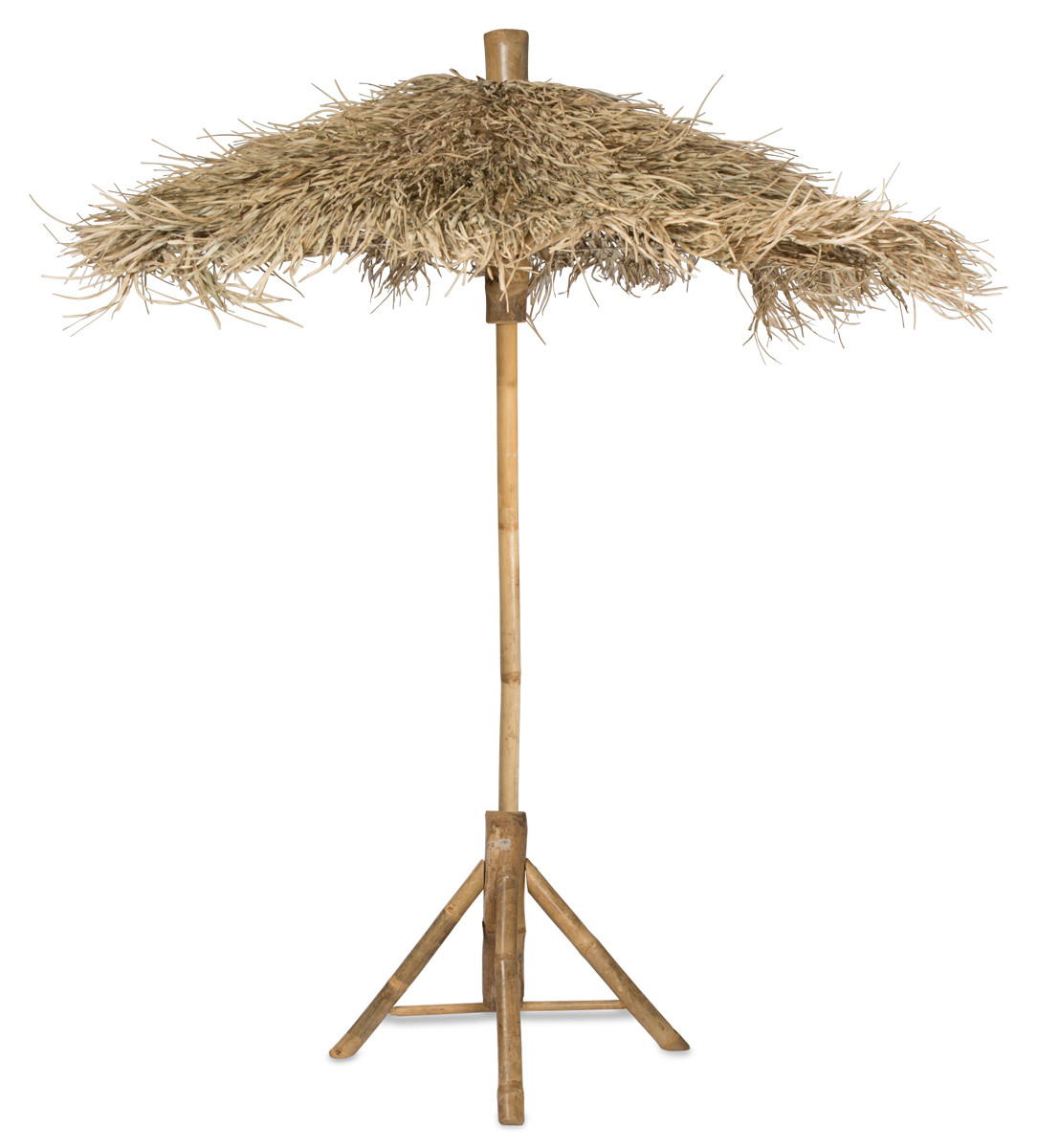 Bamboo Umbrella ubicaciondepersonas.cdmx.gob.mx