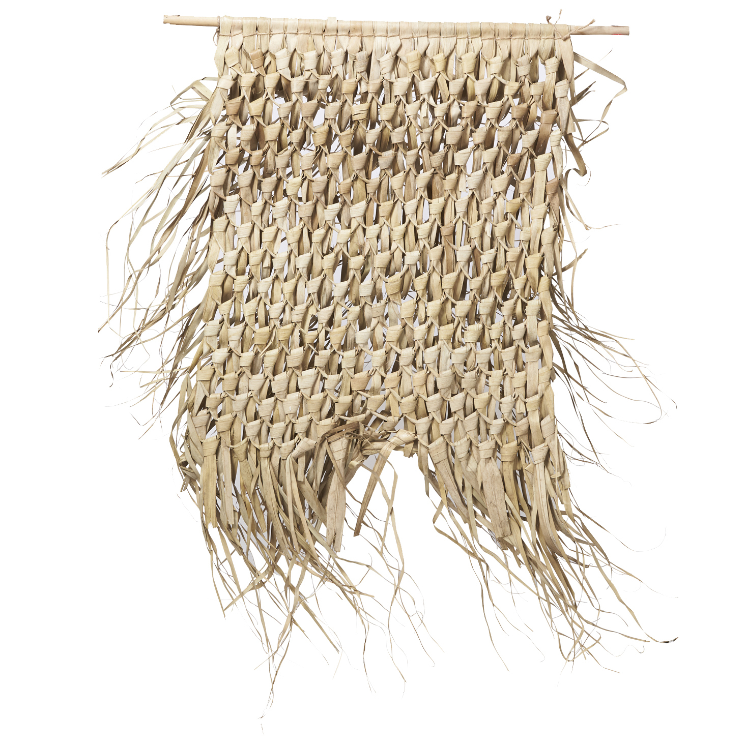 Gynee Palm Leaf Wall Décor