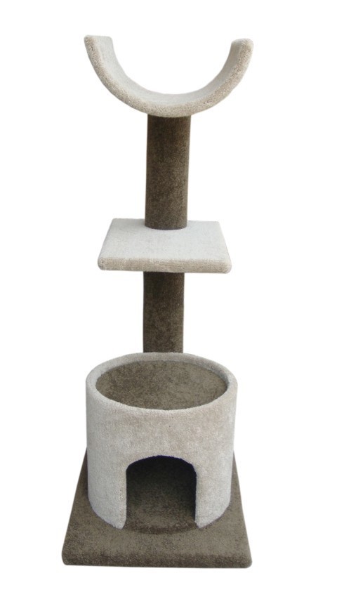 Cat Trees Temple Webster Morris Inn Ii Carpet Cat Scratchers In Khaki Grey