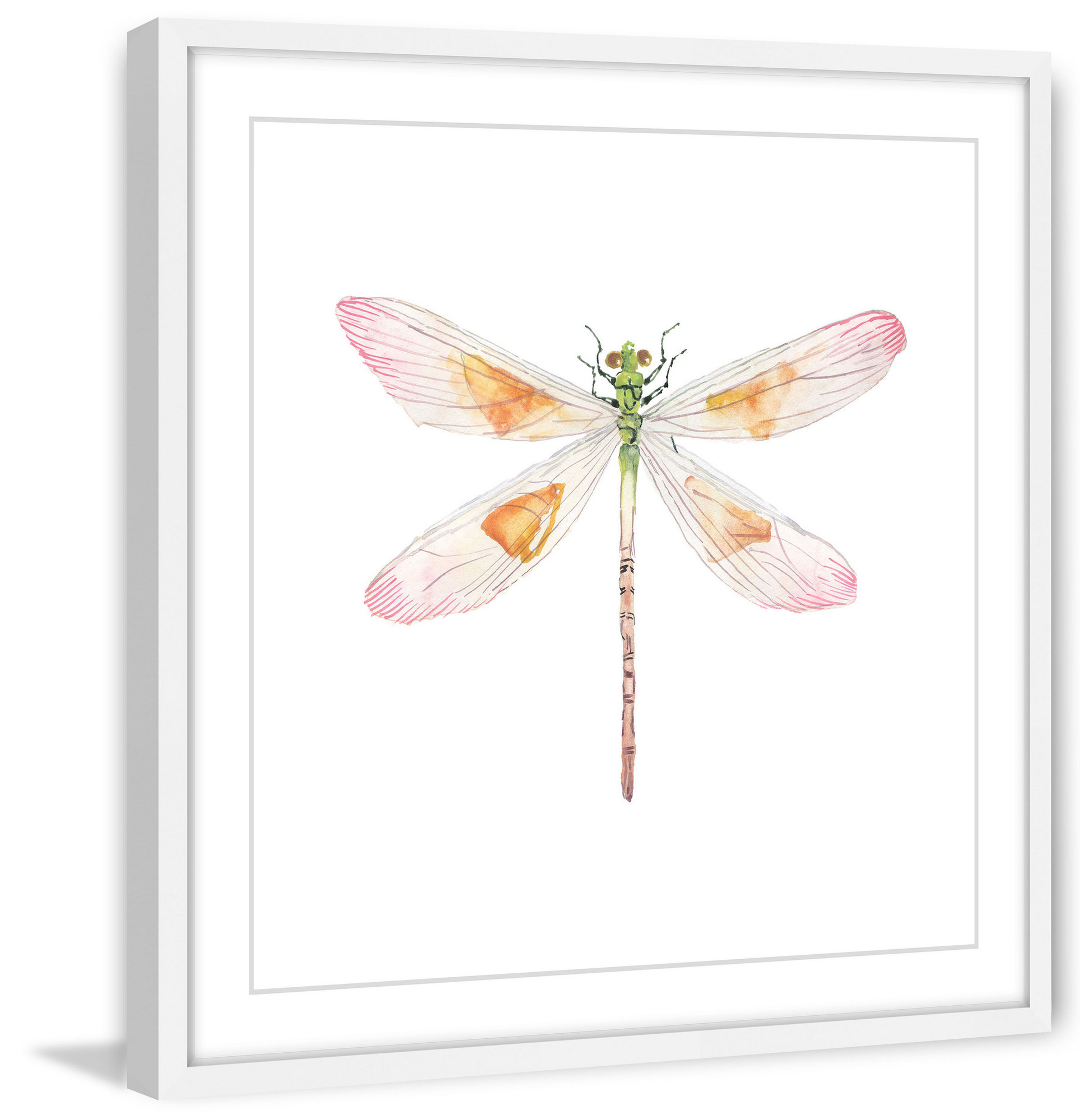 Translucent Dragonfly Framed Print Temple Webster Sku Darg2183 Translucent Dragonfly Framed Print Is Also Sometimes Listed Under The Following Manufacturer Numbers Mh Julinsc 17 Wfp 12