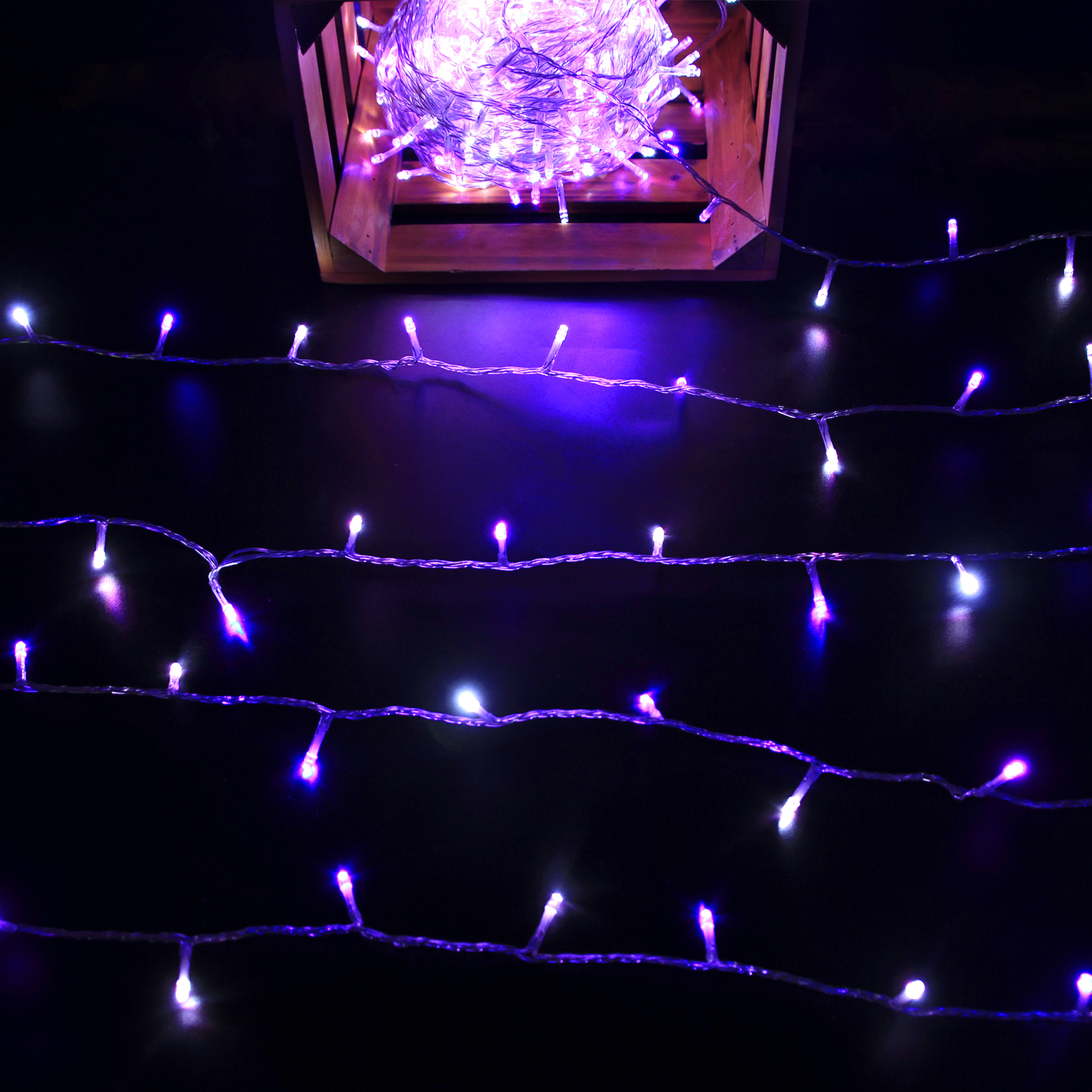 dual colour fairy lights