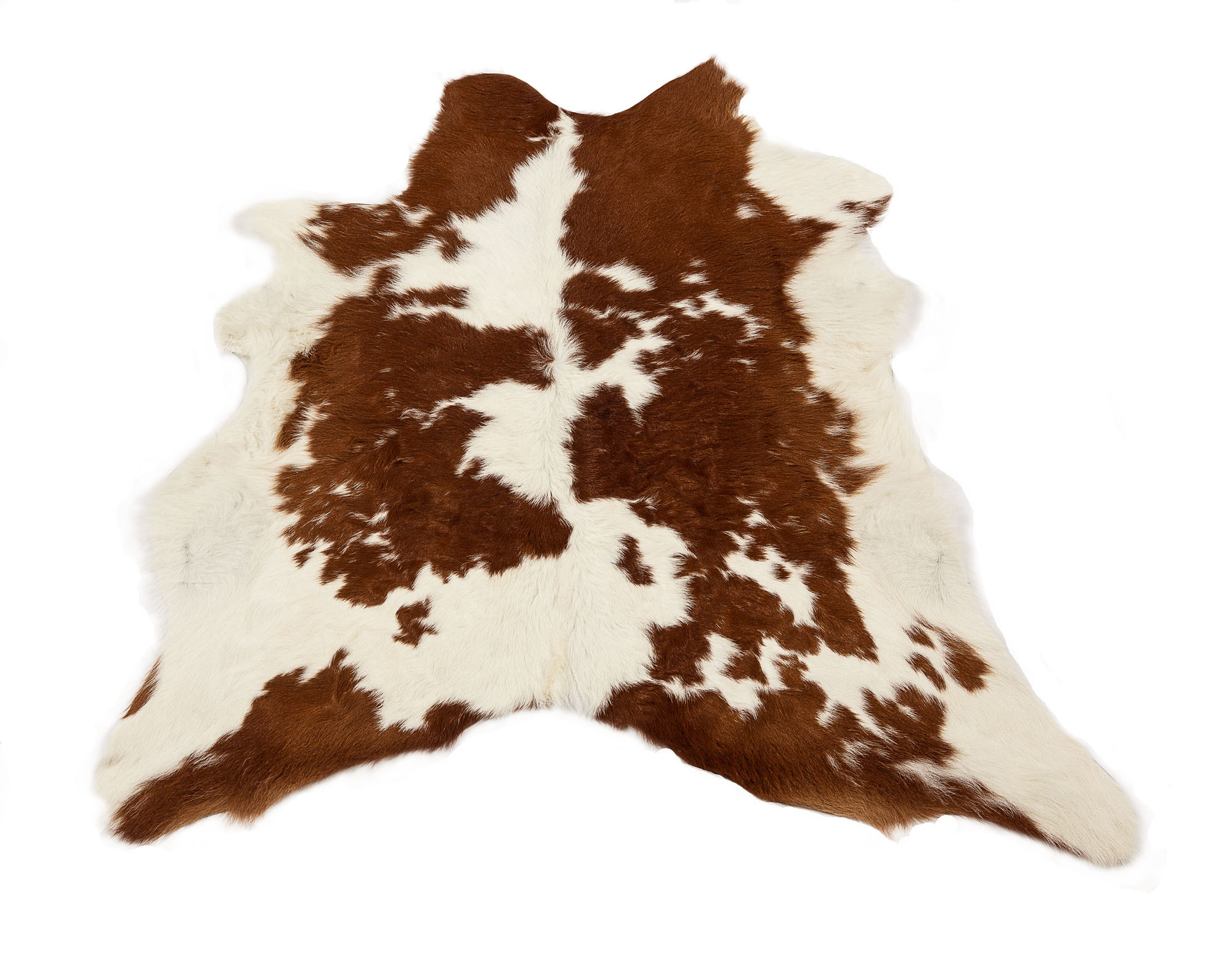 All Natural Hides And Sheepskins Brown White Calf Hide Rug Temple Webster